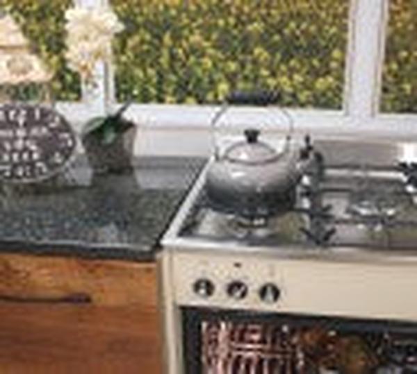 La Germania RUS95C61LDCR 90cm Stainless Steel 5-Burner Gas Stove with 142L Multi-Function Electric Oven