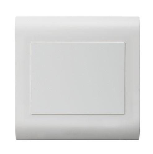 Lesco White Pipelli Blank Cover Plate