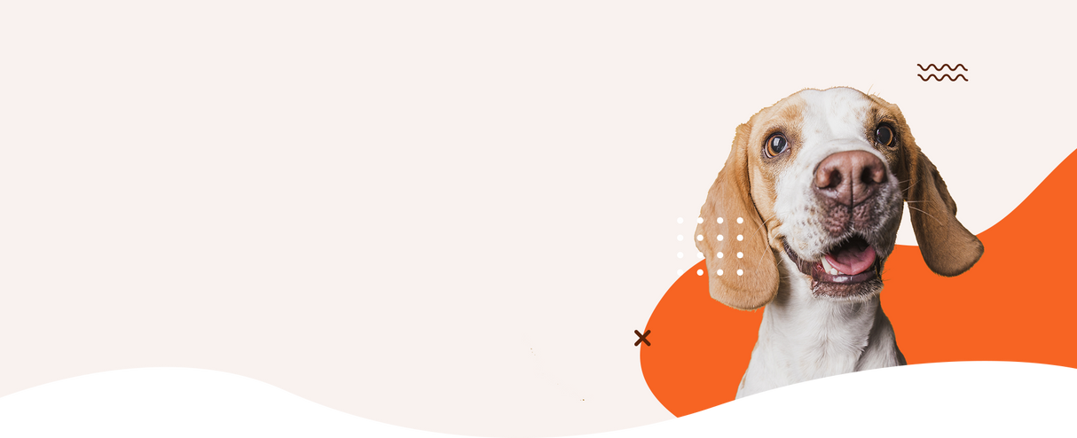 AC POWER ADAPTER  FR MV2500U