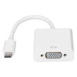 Gizzu 1080P Type-C to VGA Adapter Poly
