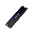 HIKSEMI Future Lite 1TB Gen4 M.2 NVMe 3D NAND SSD