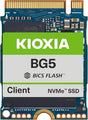 KIOXIA 256GB NVME 2230 OEM SSD