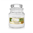 Yankee Candle Camellia Blossom Small Jar
