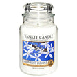 Yankee Candle Midnight Jasmine Large Jar Retail Box No