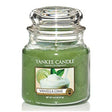 Yankee Candle Vanilla Lime Medium Jar Retail Box No