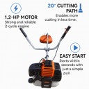 generic R25-2-3 Fuel Cylinder Push Lawn Mower (BLACK)